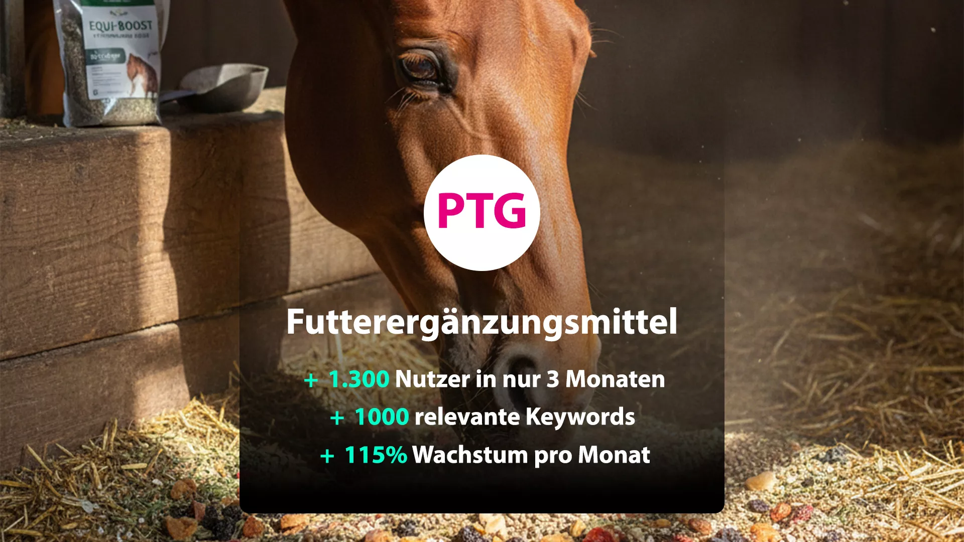 SEO Wachstum seit Tag 1